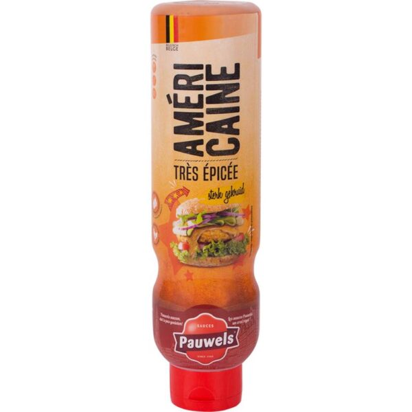 Pauwels-Americaine-Saus-1L