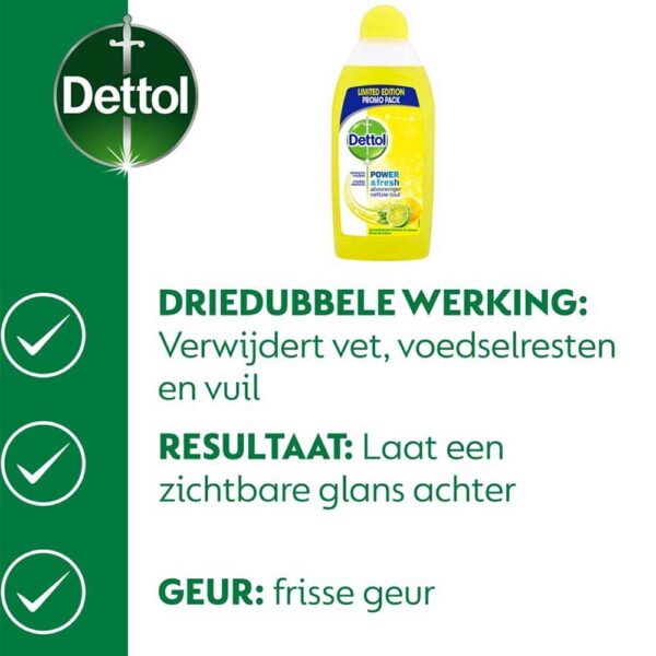 Dettol Allesreiniger Power & Fresh - Citrus - Voordeelverpakking - 12 x 500ml