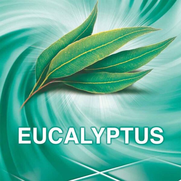 Ajax Allesreiniger Eucalyptus 5L