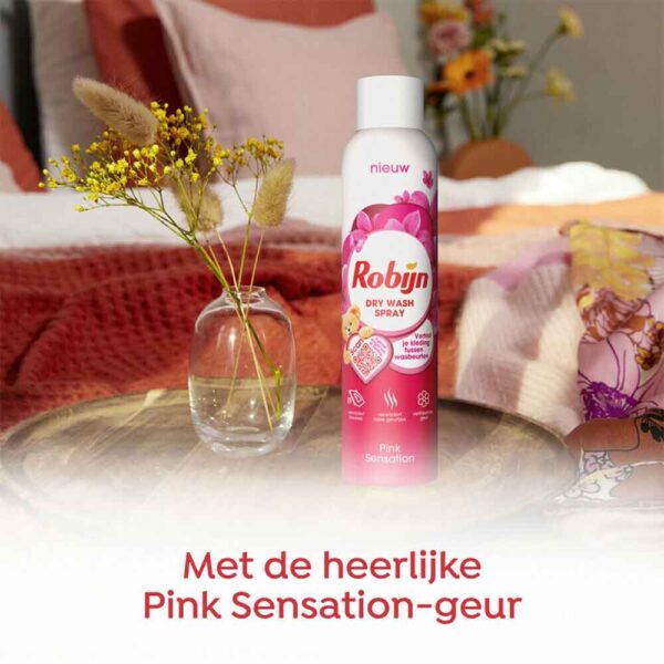 Robijn Dry Wash Spray Pink Sensation 200ml